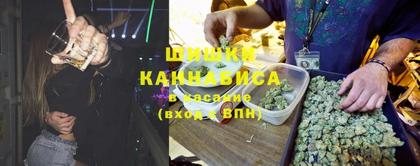 эйфоретик Покачи