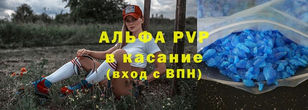 эйфоретик Покачи